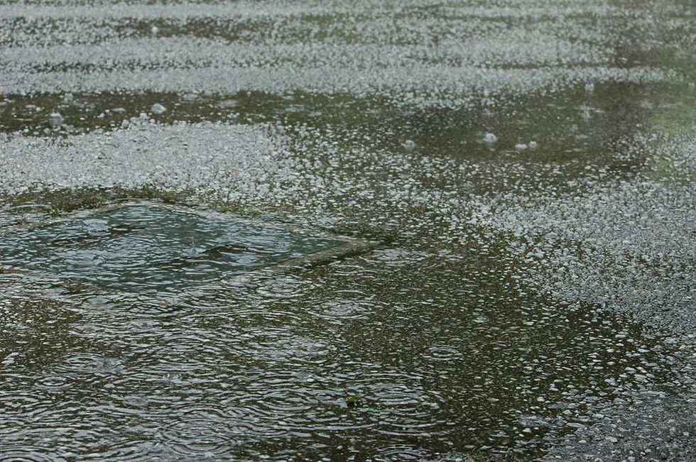 大雨なり・・・