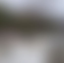 3連休の最後はちょっぴり雪