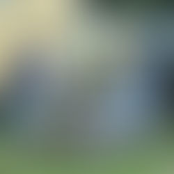 夏休みのやり残し全部回収プラン！