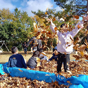 11/8と15は「サンクスフェスタ」！
