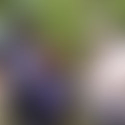 焦らずのんびり川遊び