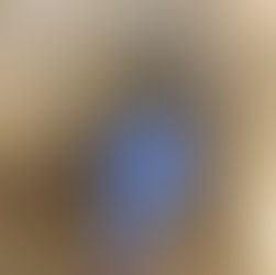 いのくち探検隊の冒険記録