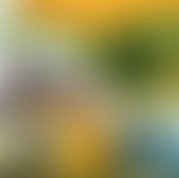 平和な連休2日目