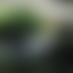 シャワトレの取材がありました！