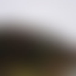 雨でもグルキャン!