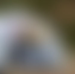 雪のちらつくキャンプ場にて