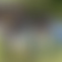 里帰りの思い出に