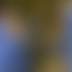 賑やか洞窟探検