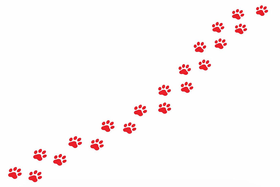 Pawprints walking background.JPG