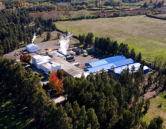 ECOFOOD  PLANTA Y PARQUE_edited.jpg
