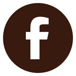 icons8-facebook-circled-250.png
