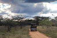 Guided Game drive to view wildlife.jpg