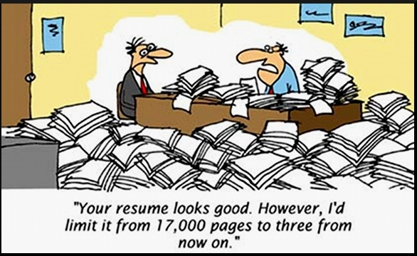 brief CV
