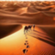 The contrasts of colours,  chaos and cal