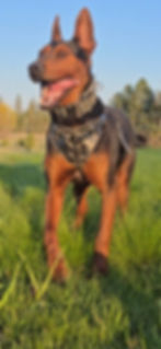 Screenshot_20250423_205335_Gallery