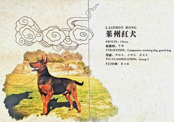 481284579_943716277964890_9140436280989816744_n