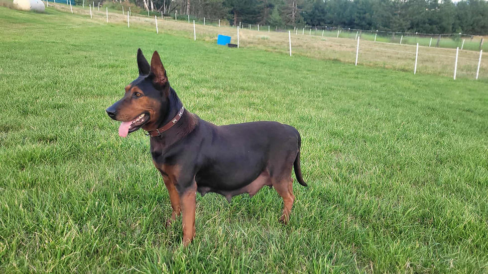 c889c18b-9cbe-4abb-a58c-bb83510c6f4f