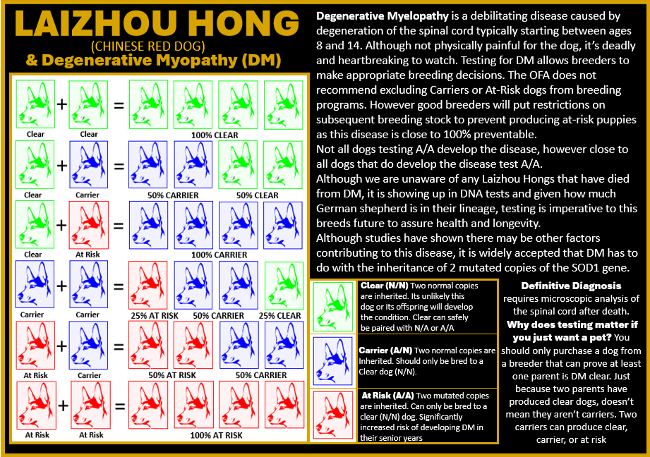 DM chart degenerative myopathy and chinese red dogs