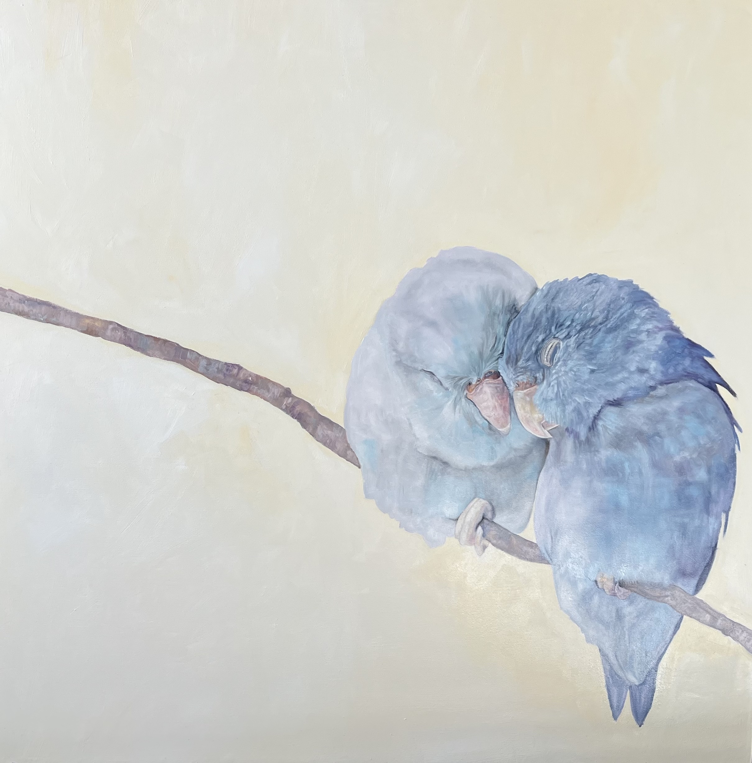 Jeannie Pennell, Theresa Heidig Rooney, Gwen Knapp, Tracey McCarty