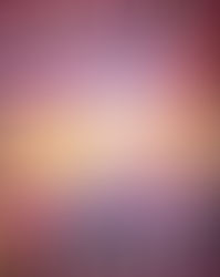 The Illusion of Hate