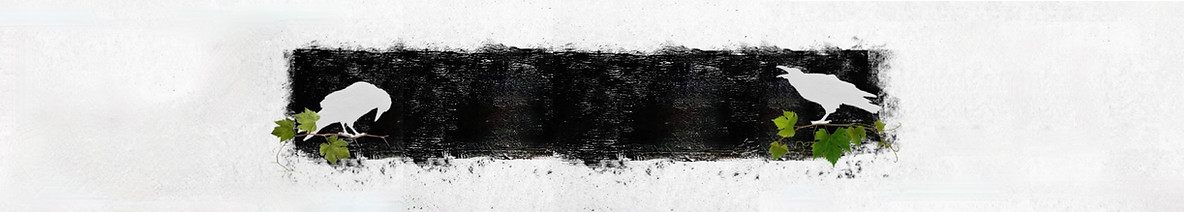 Screenshot 2026-02-13 at 1.54.12 PM.jpeg