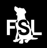 FSL_negative.png