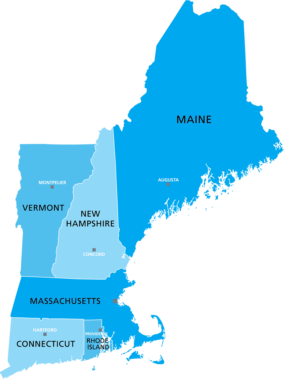 iStock-1278978580 [Converted].png