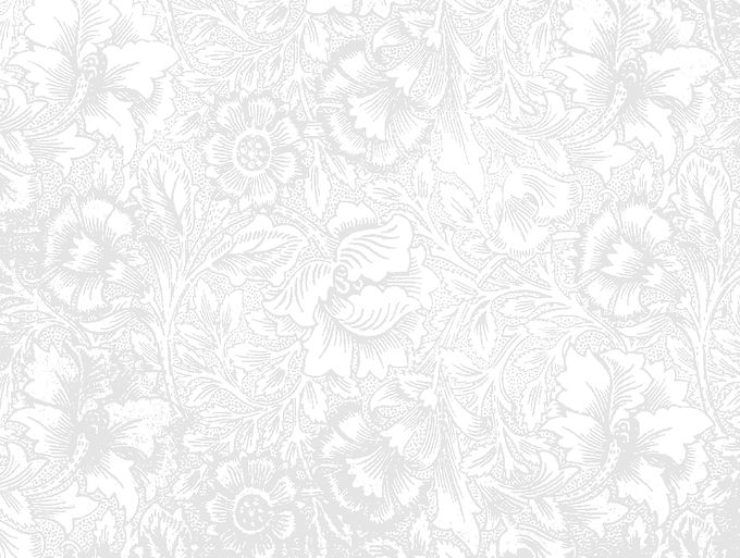 White Flower BG 02.jpg