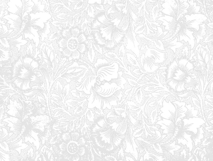 White Flower BG 02.jpg