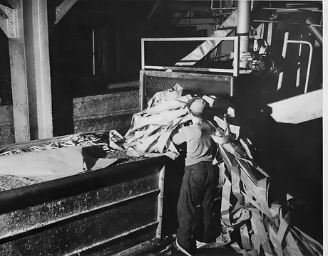 paper mill.webp