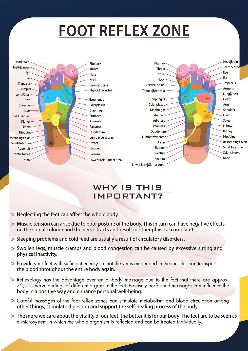 FFM Brochure_page-0006.jpg