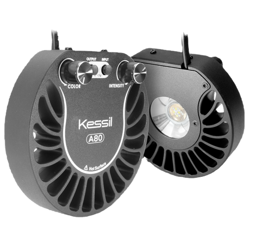 ライト・照明器具 Kessil A80 Tuna Blue &SpectralController Kessil A80 Tuna Blue | Laccadive