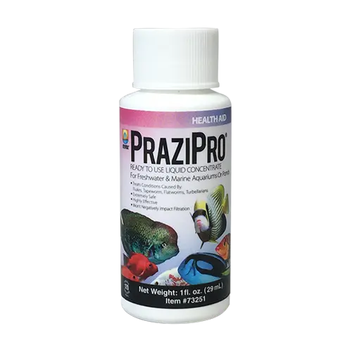 Prazi pro praziquantel India Laccadive quarantine