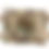 Thumbnail: MOLLE IFAK ROLL