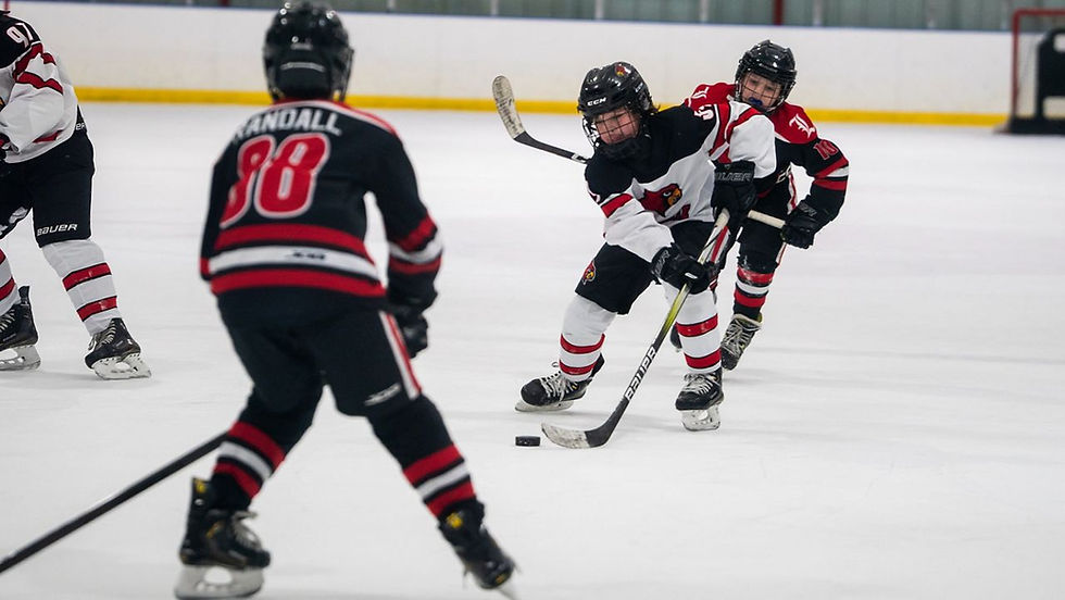 Choosing a Path: The Reality of Youth Hockey Development
