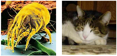 Screenshot 2025-02-08 122006.gif