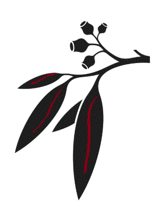 allergy hayfever allergens