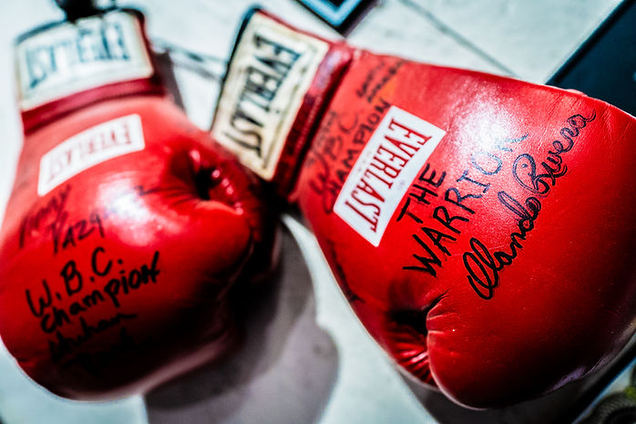 WZ Productions-15.jpg