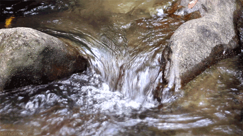 eau1.gif