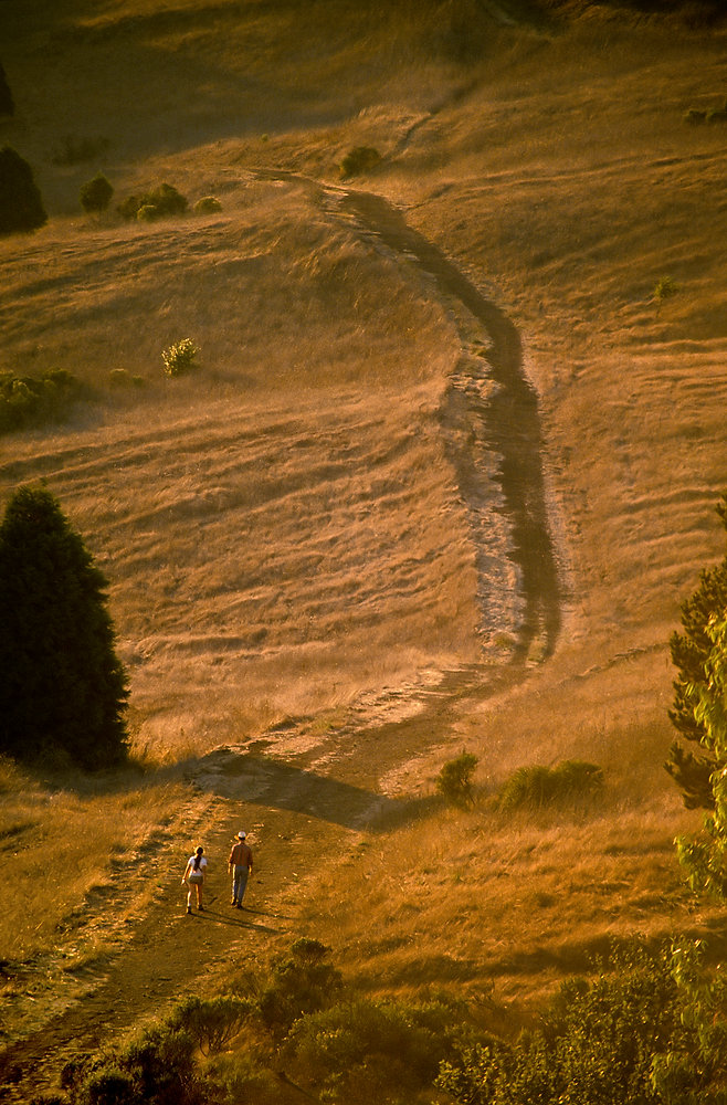 The story behind a Tilden Park walk