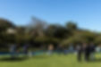 _22a7164.jpg
