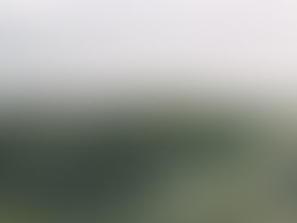 woman on a beach looking out at ocean with grasses in the foreground