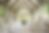 Screenshot 2026-01-22 at 10.49.42 AM.png