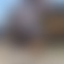 Living in Portugal - Our Monthly Journal - February 2026