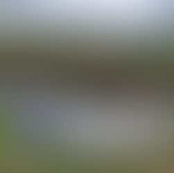 Living in Portugal - April 2025