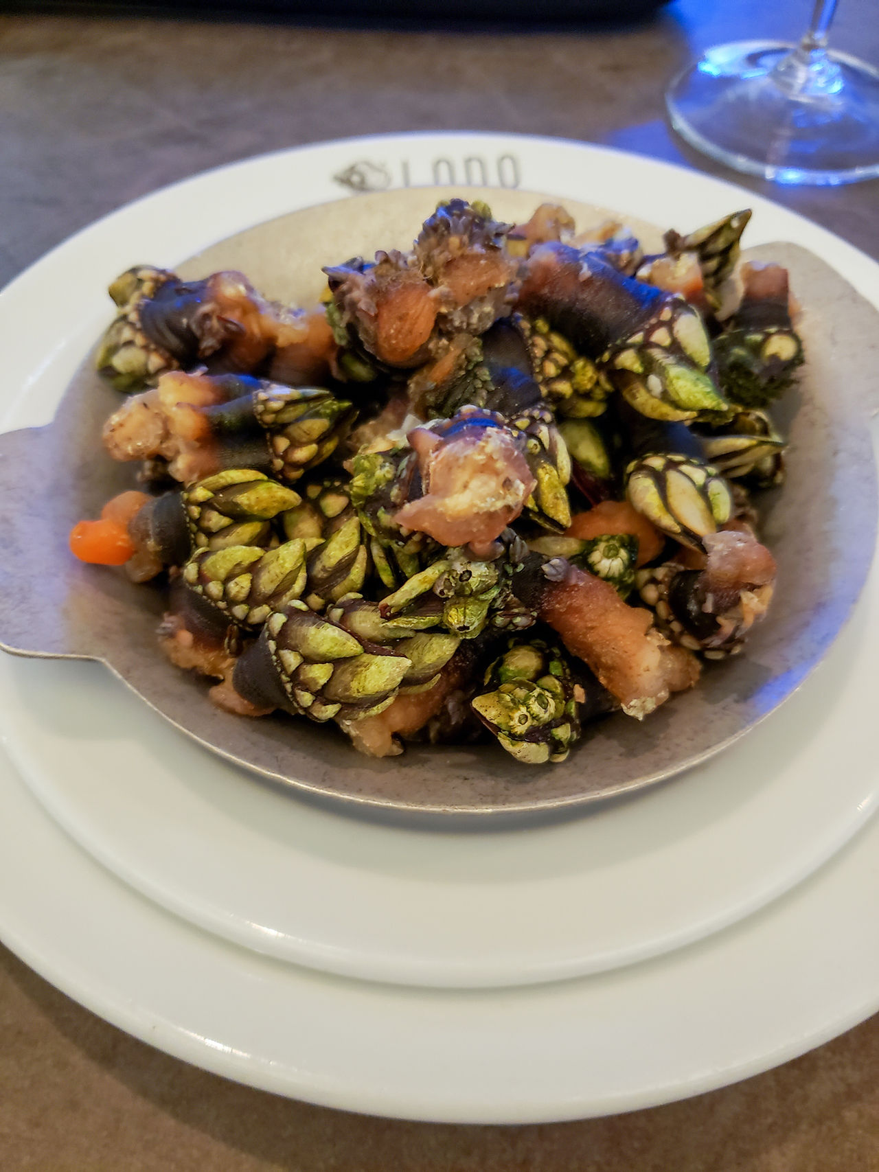 Perceves (Barnacles)