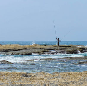 Living in Portugal - Our Monthly Journal - June 2025
