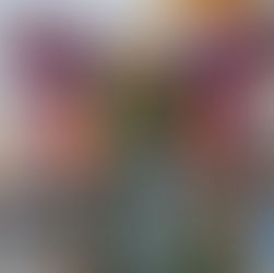 Living in Portugal - February 2023