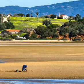 Living in Portugal - February 2025