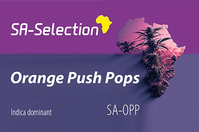 SA-Selection_OPP.jpg